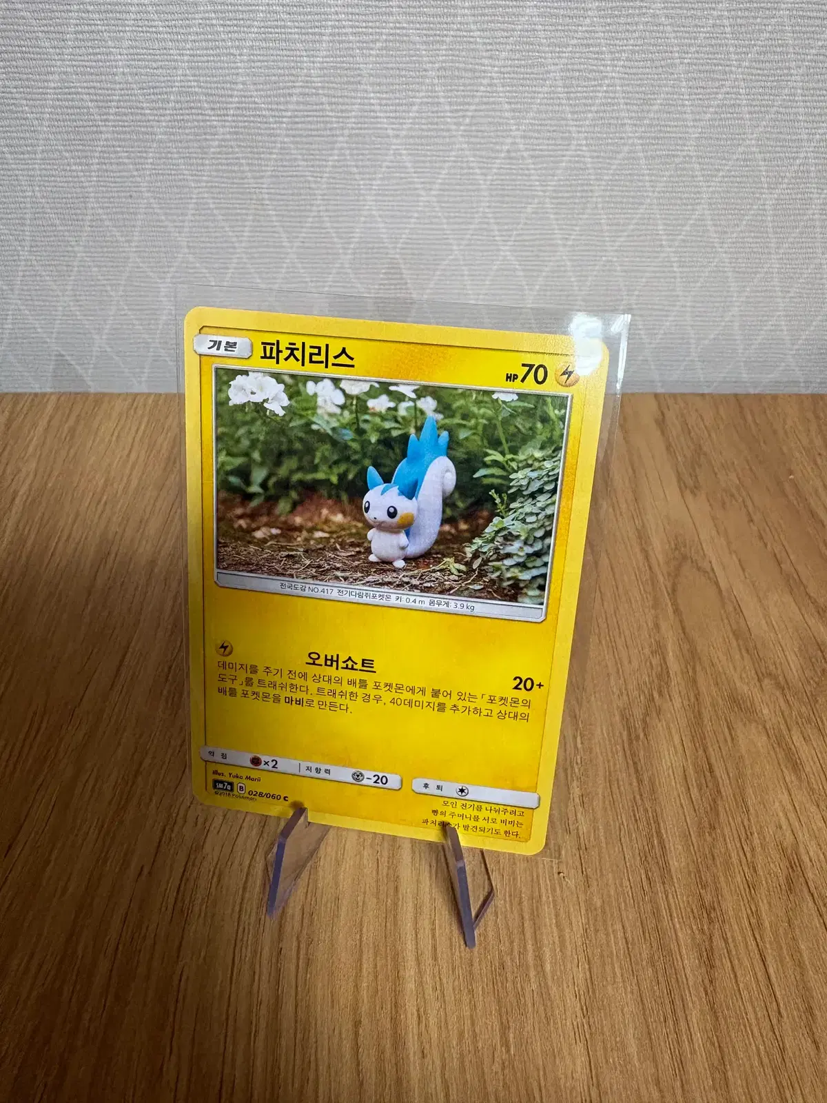 포켓몬카드 파치리스 유카모리