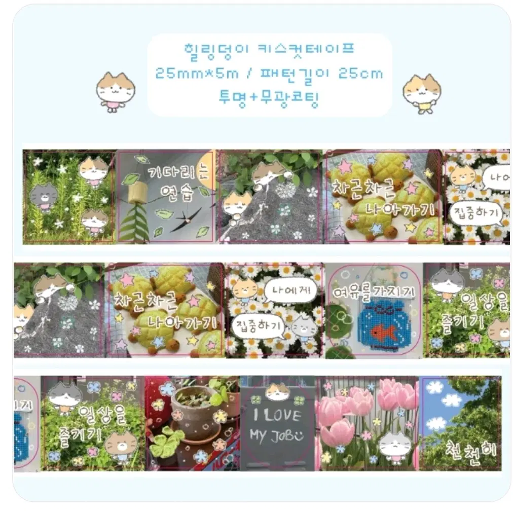 덩이나라 키스컷 원가띵 2