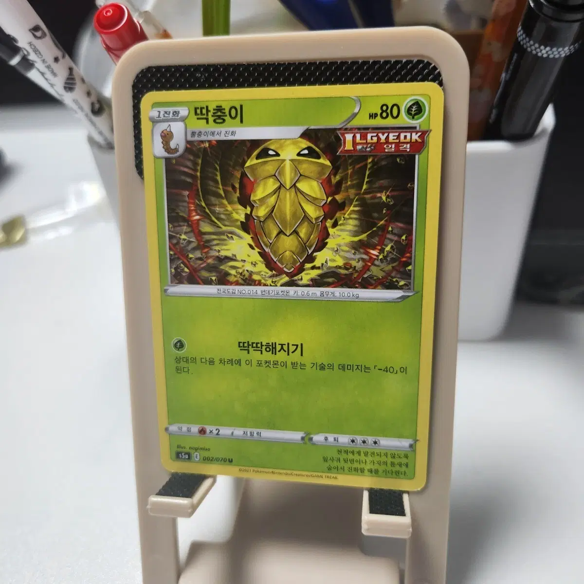 딱충이 포켓몬 카드