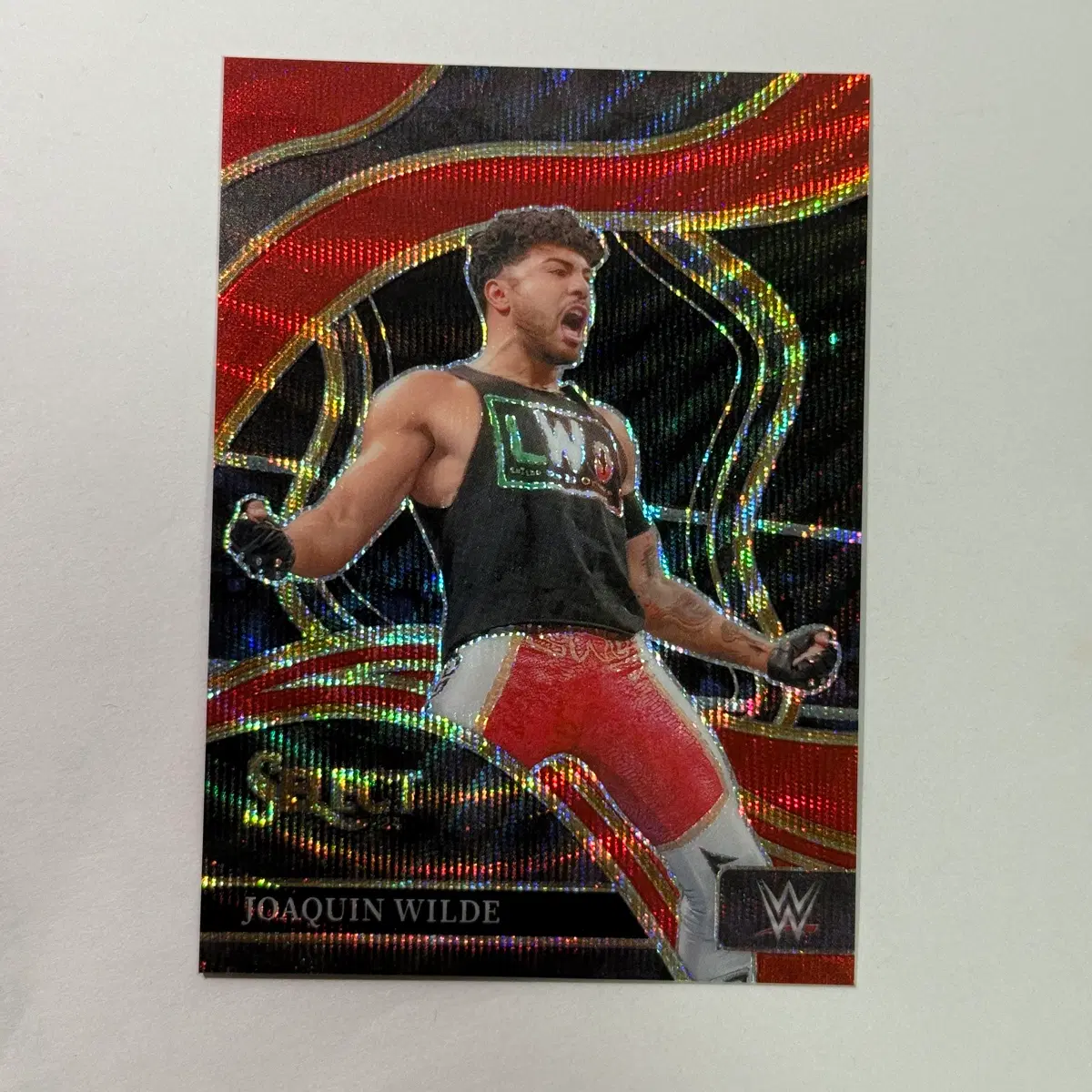 [한정] WWE 호아킨 와일드 99한정 셀렉트 WWE 카드