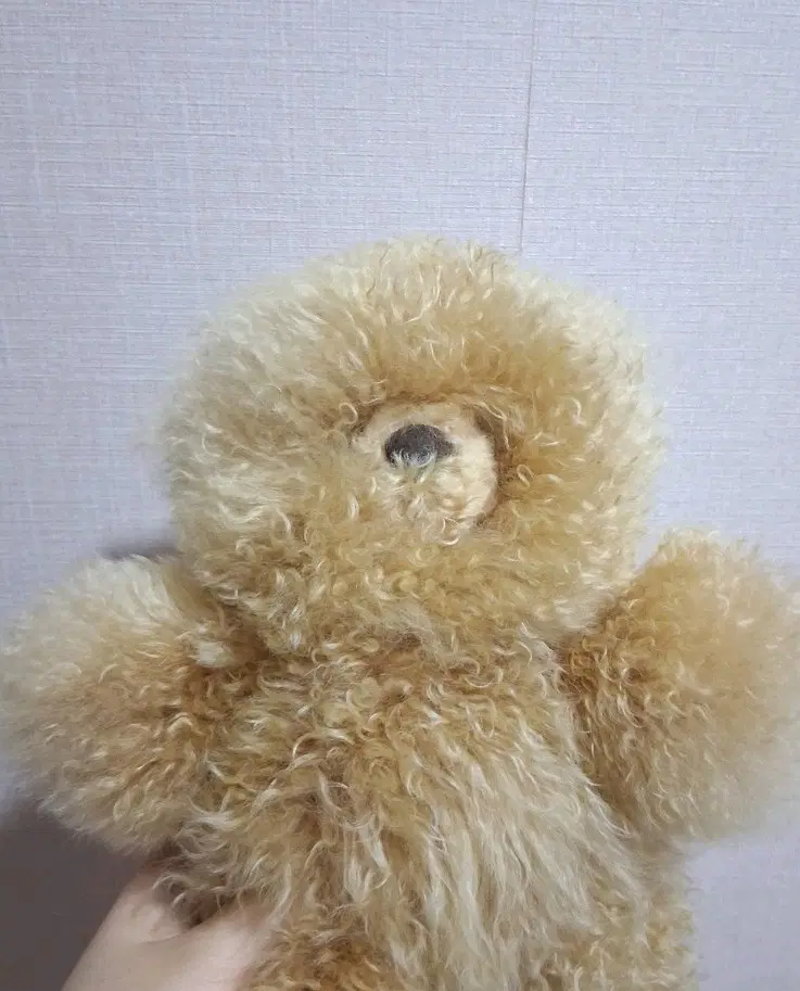 컴발리 알파카 갈색 곰돌이 인형 미디움