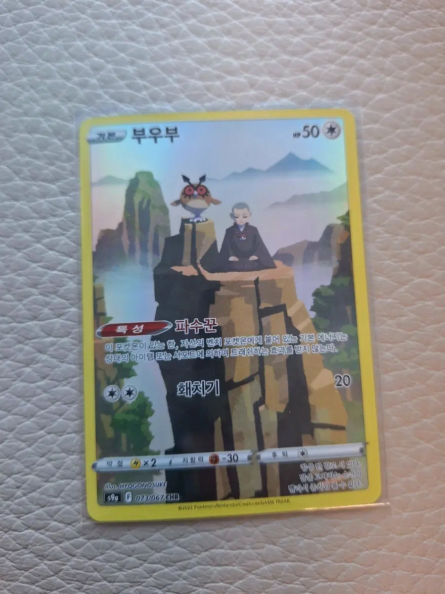 포켓몬 카드 부우부 CHR