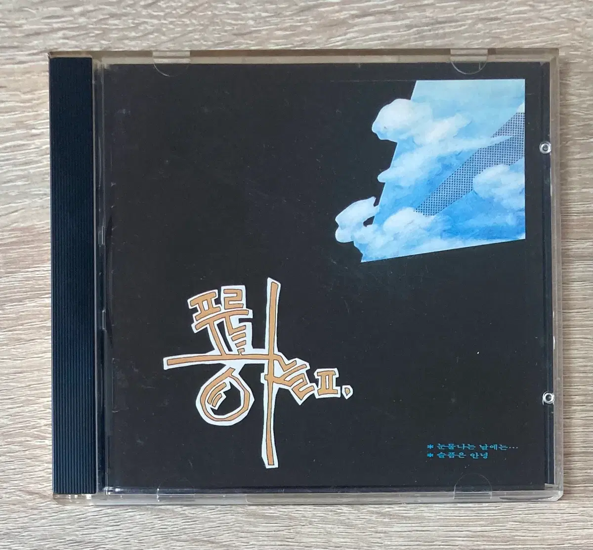 푸른하늘 - 2집 눈물나는 날에는 CD 판매 (초반)
