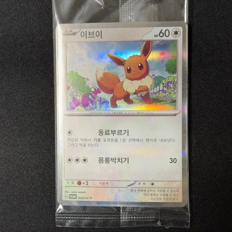 포켓몬 카드 이브이 코리안리그 프로모