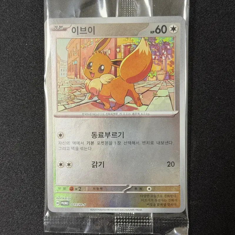포켓몬 카드 이브이 코리안리그 프로모