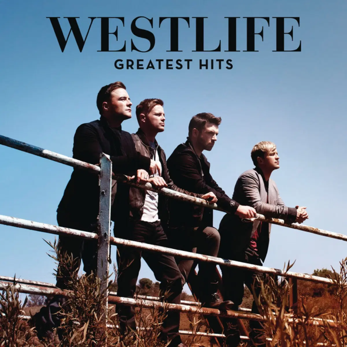 웨스트라이프 Greatest Hits 2CD+DVD 앨범 시디 CD