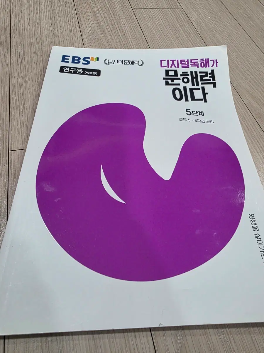 디지털 독해가 문해력이디