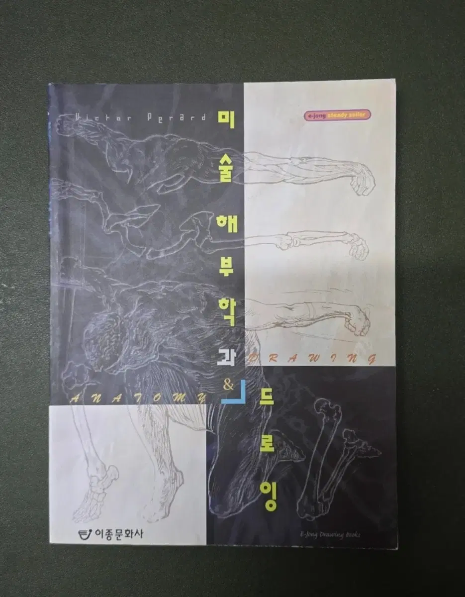 [세트] 미술 해부학 & 인체 드로잉 전문 서적 3권 일괄 (번 호가스, 빅터 페라르 등)