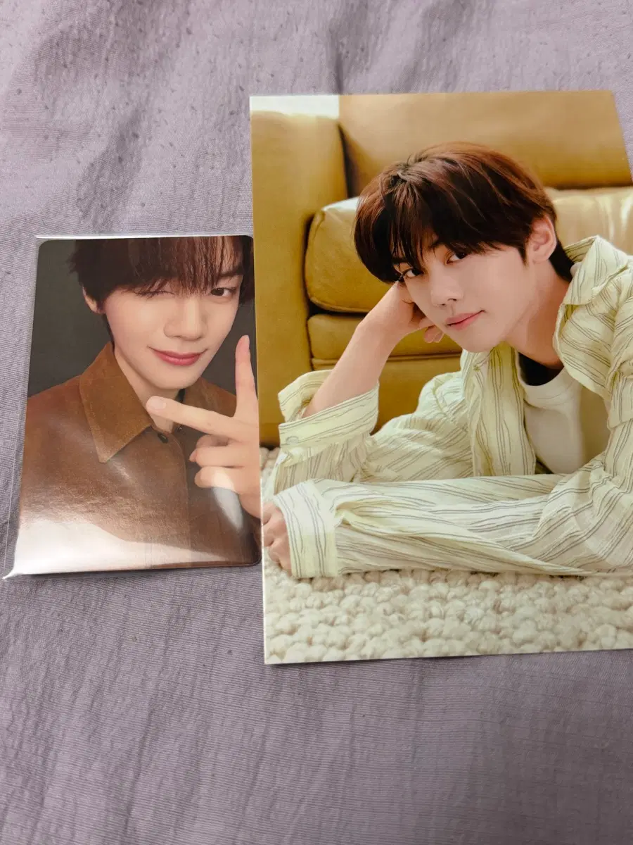 앤더블 김규빈 ositree 굿즈 양도