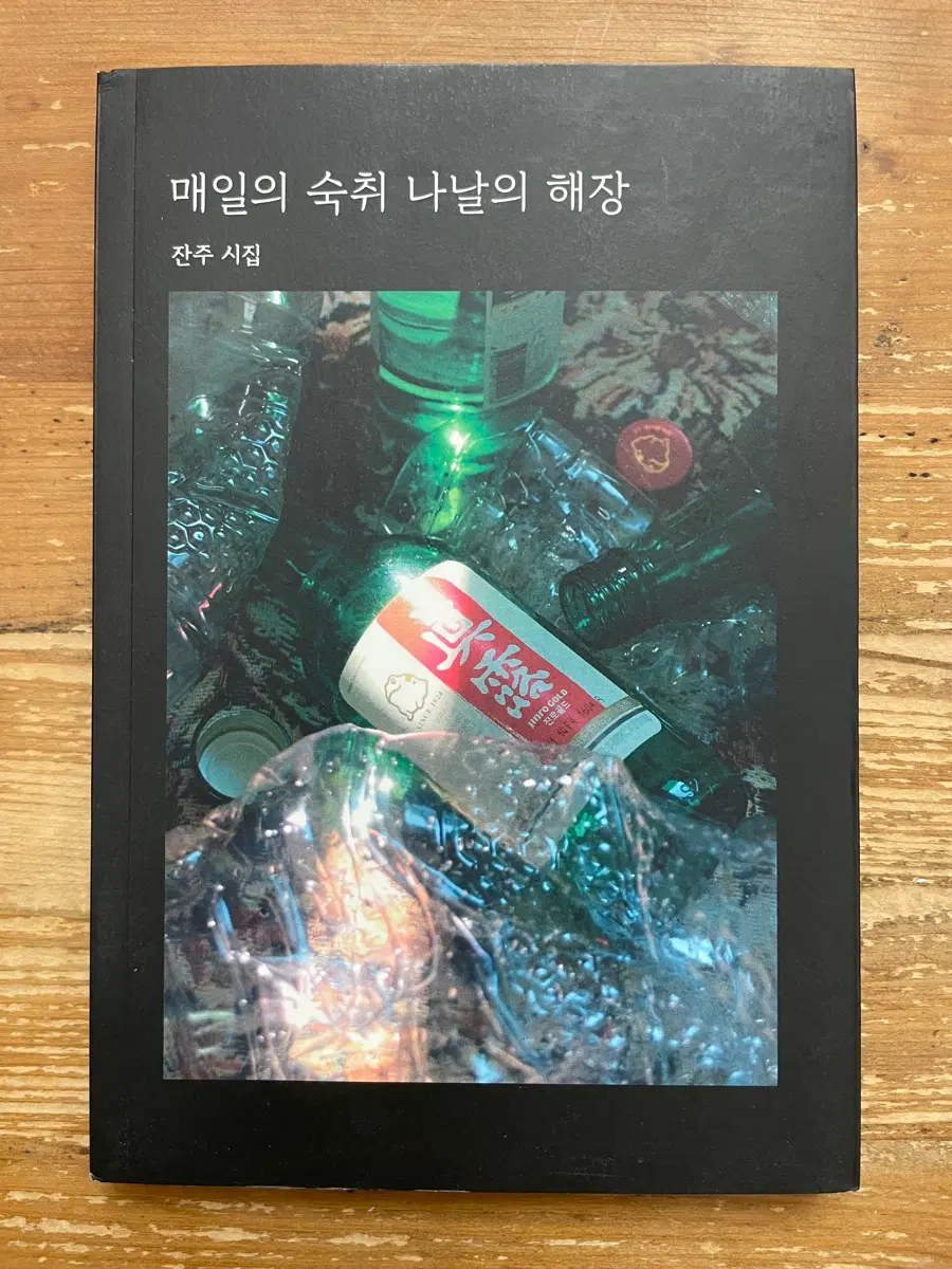 매일의 숙취 나날의 해장 : 진주 시집