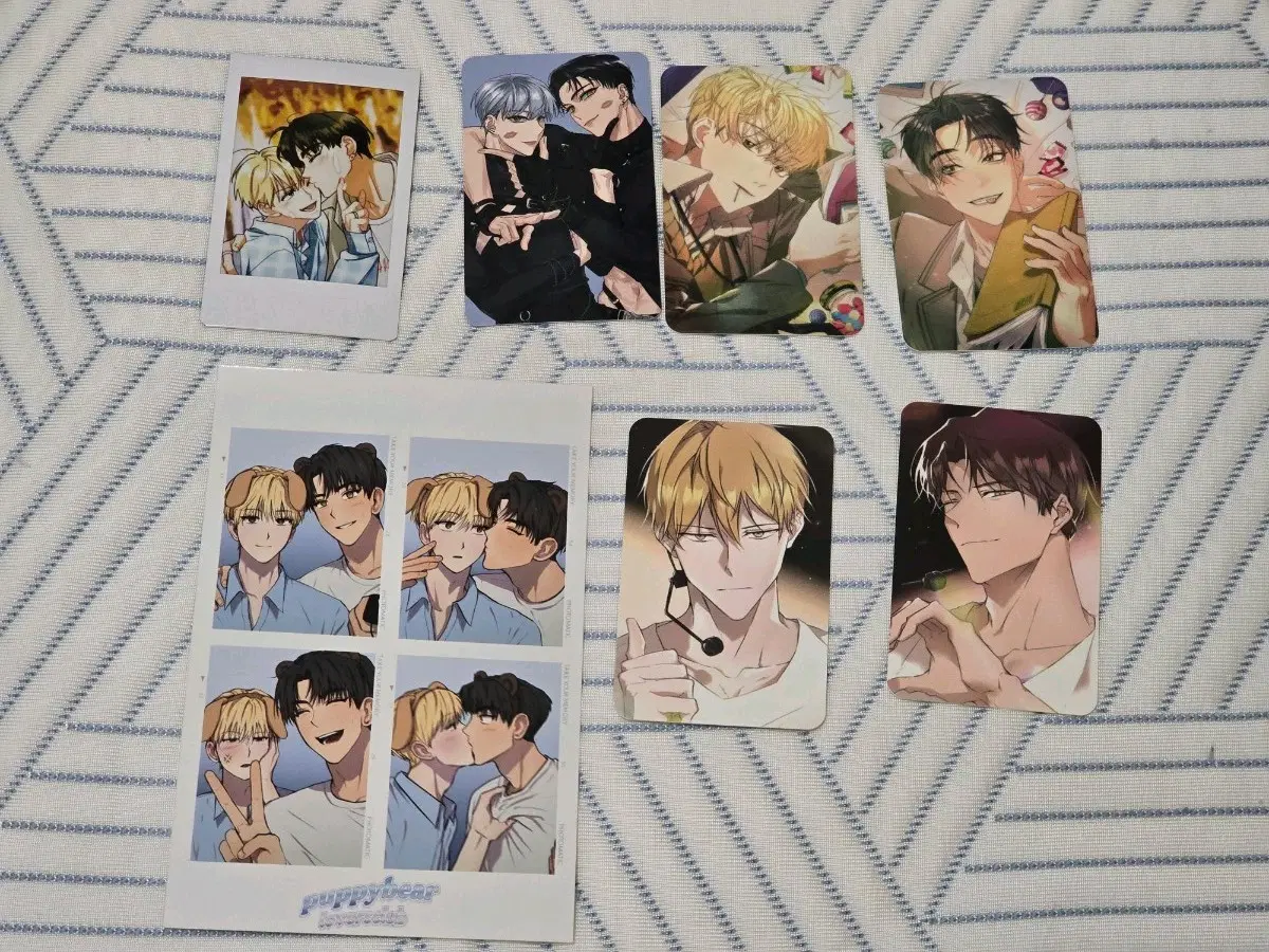 데못죽 문큰 문대큰세 폴라 포카