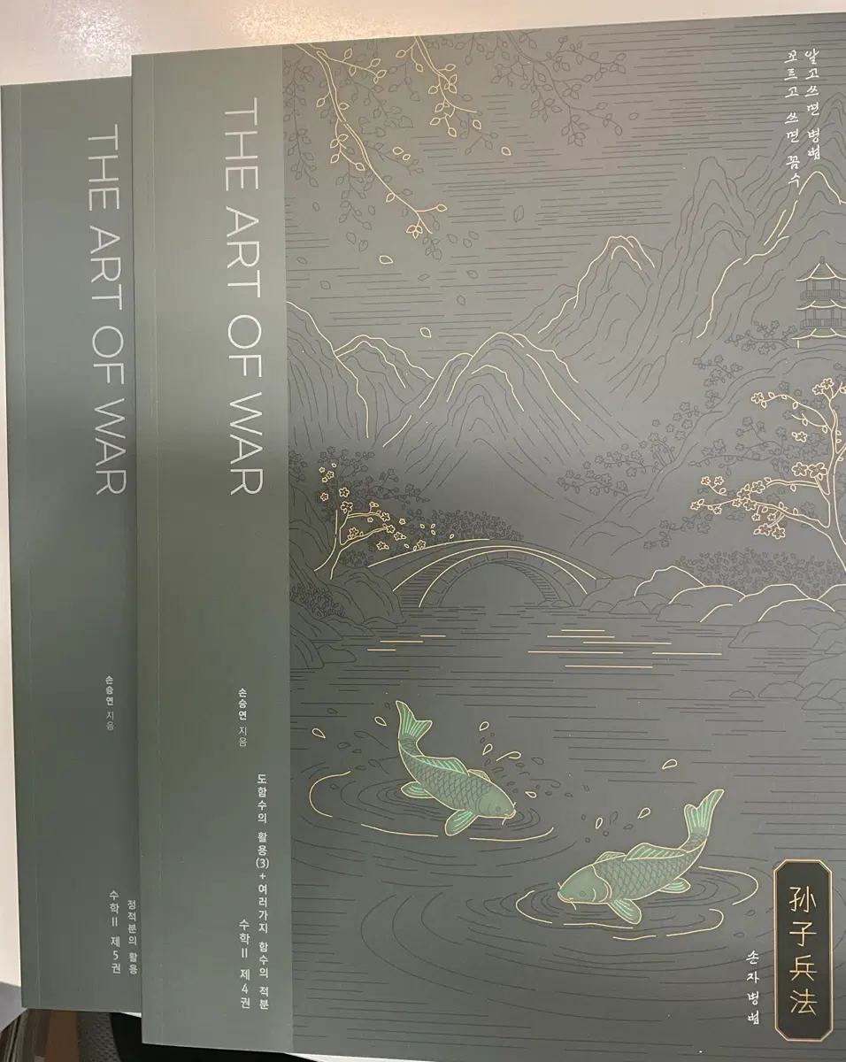강대 손승연 수2 n제 손자병법 4,5권