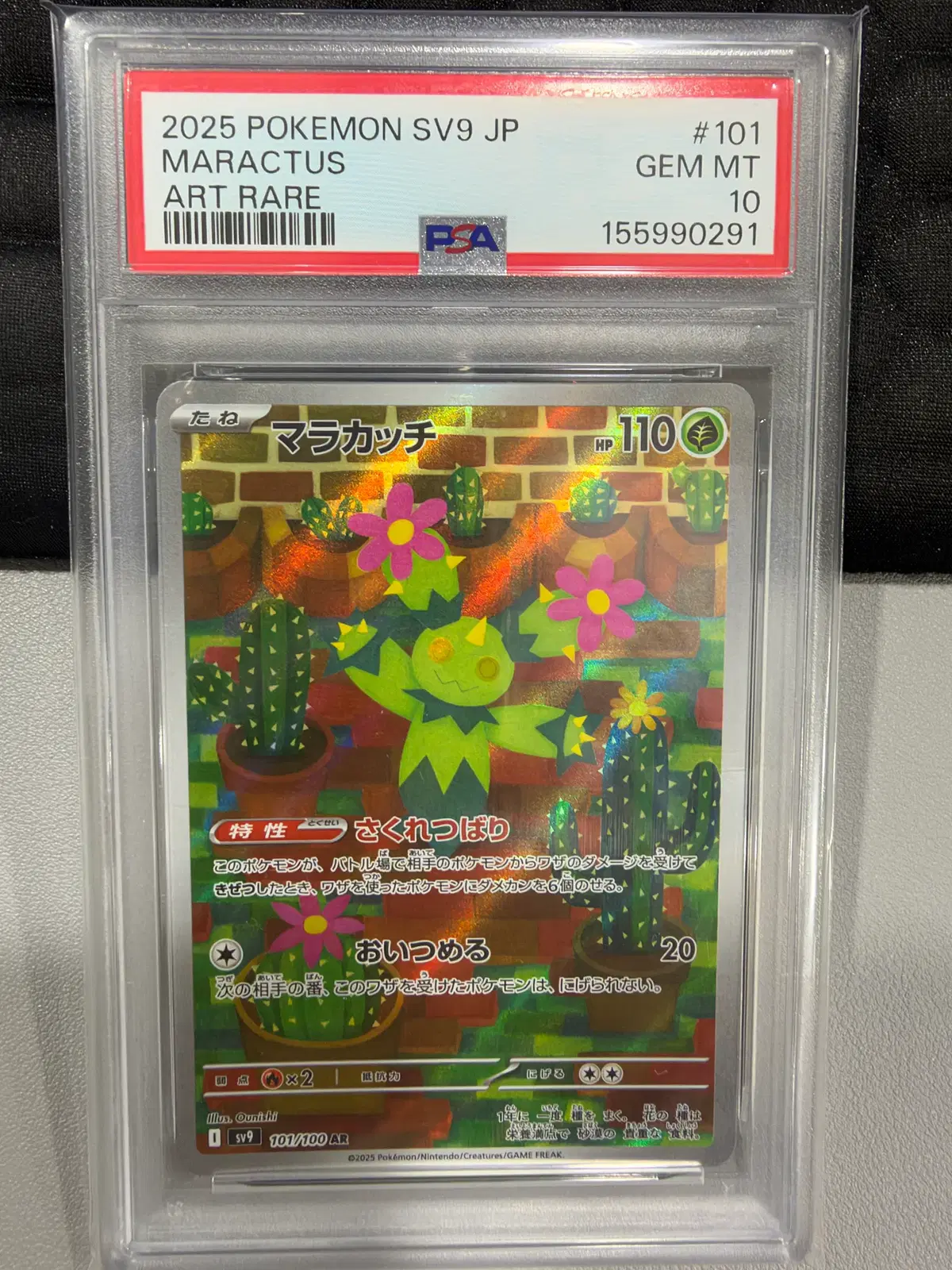 마라카치 ar psa10