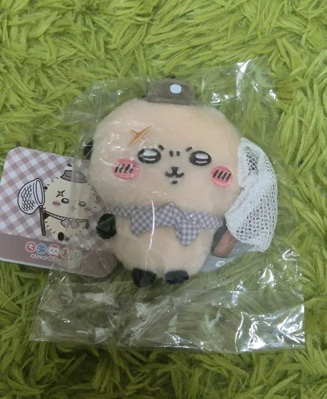 치이포케 피크닉 마스코트 랏코