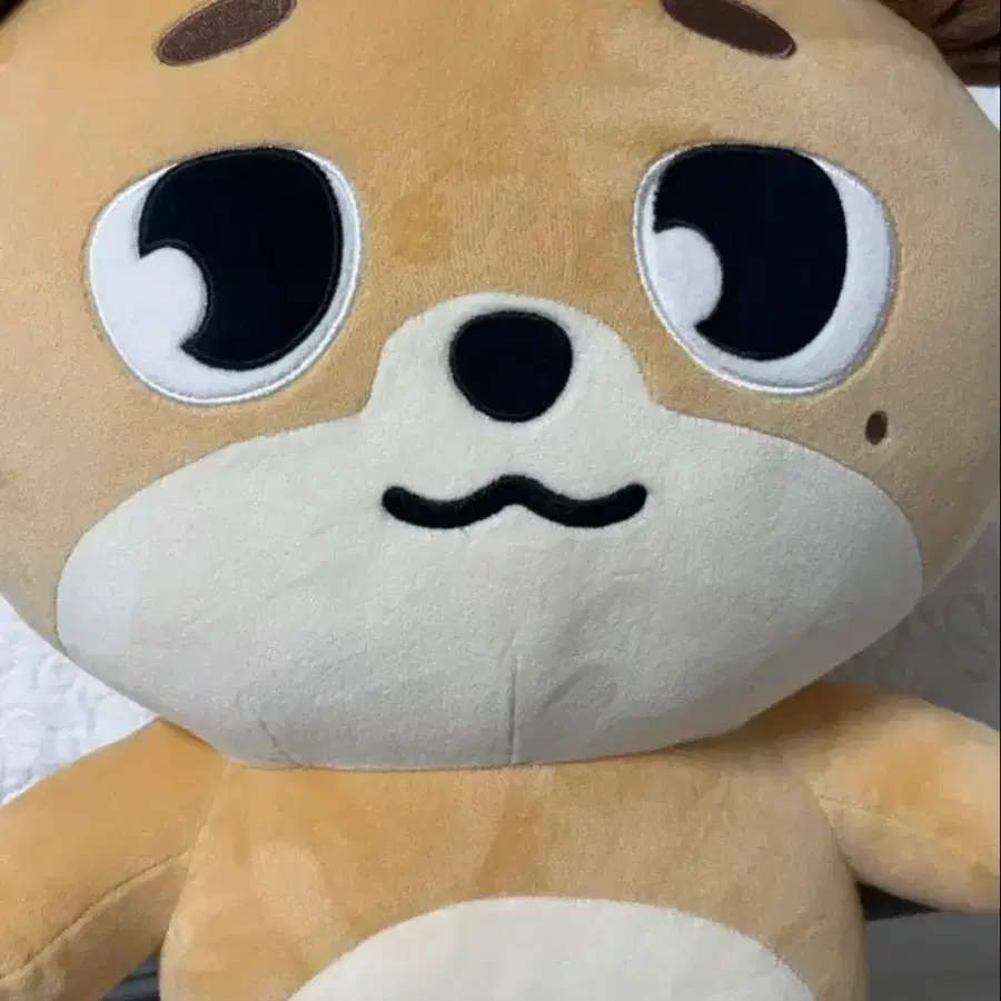 데이식스 자이언트 데니멀즈 돈
