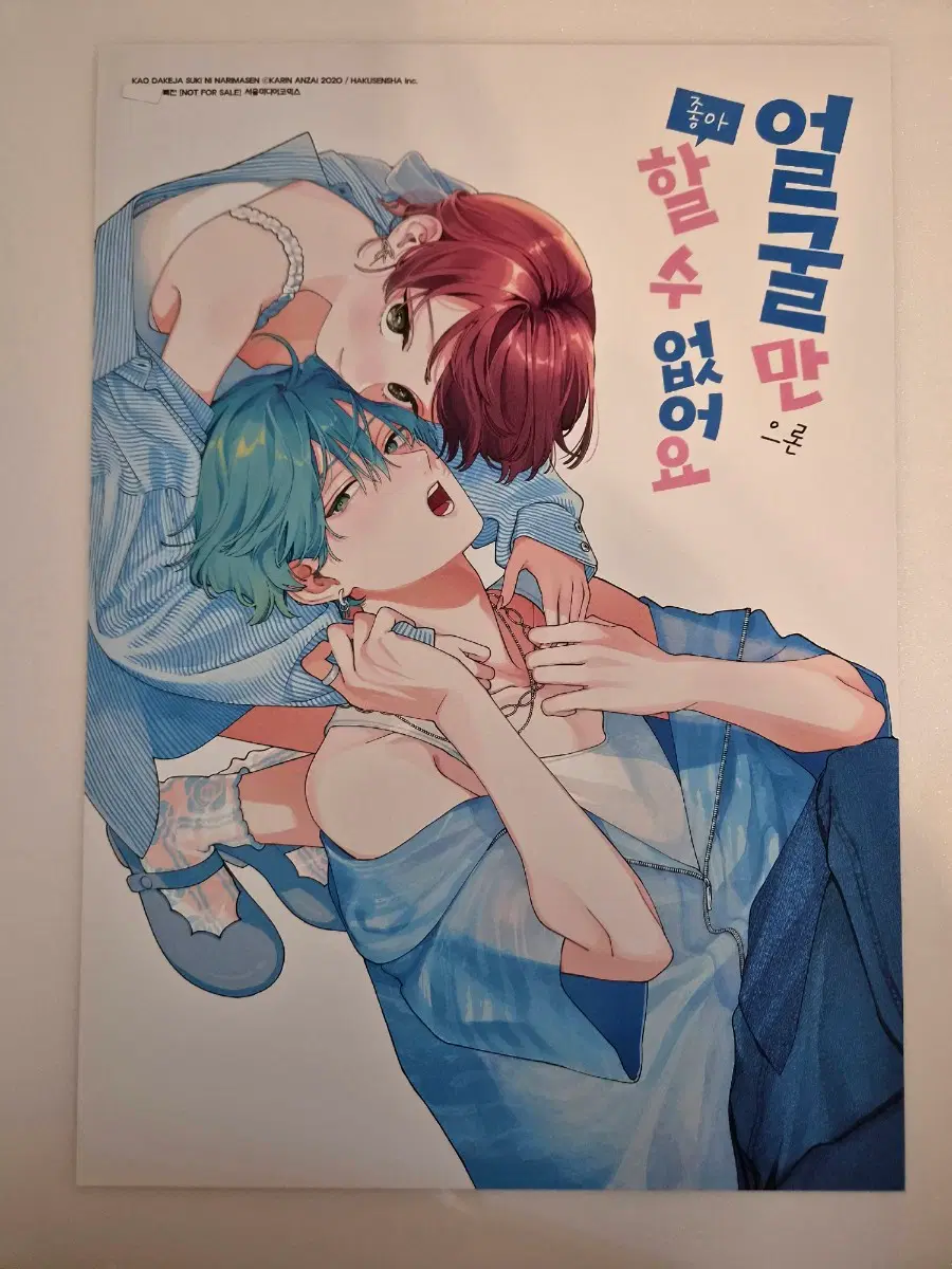 얼굴만으론 좋아 할수없어요 15권 포스터