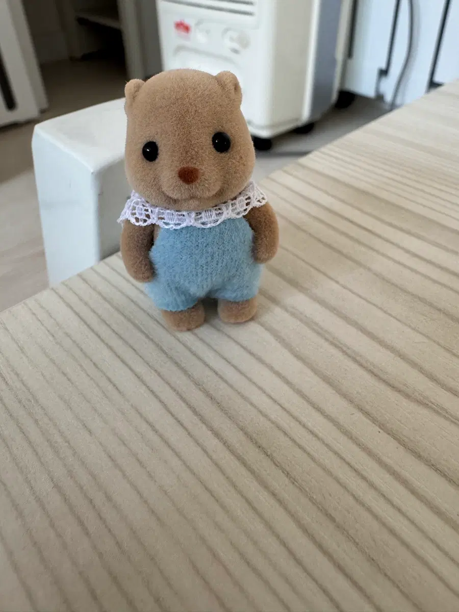 실바니안 비버 직립