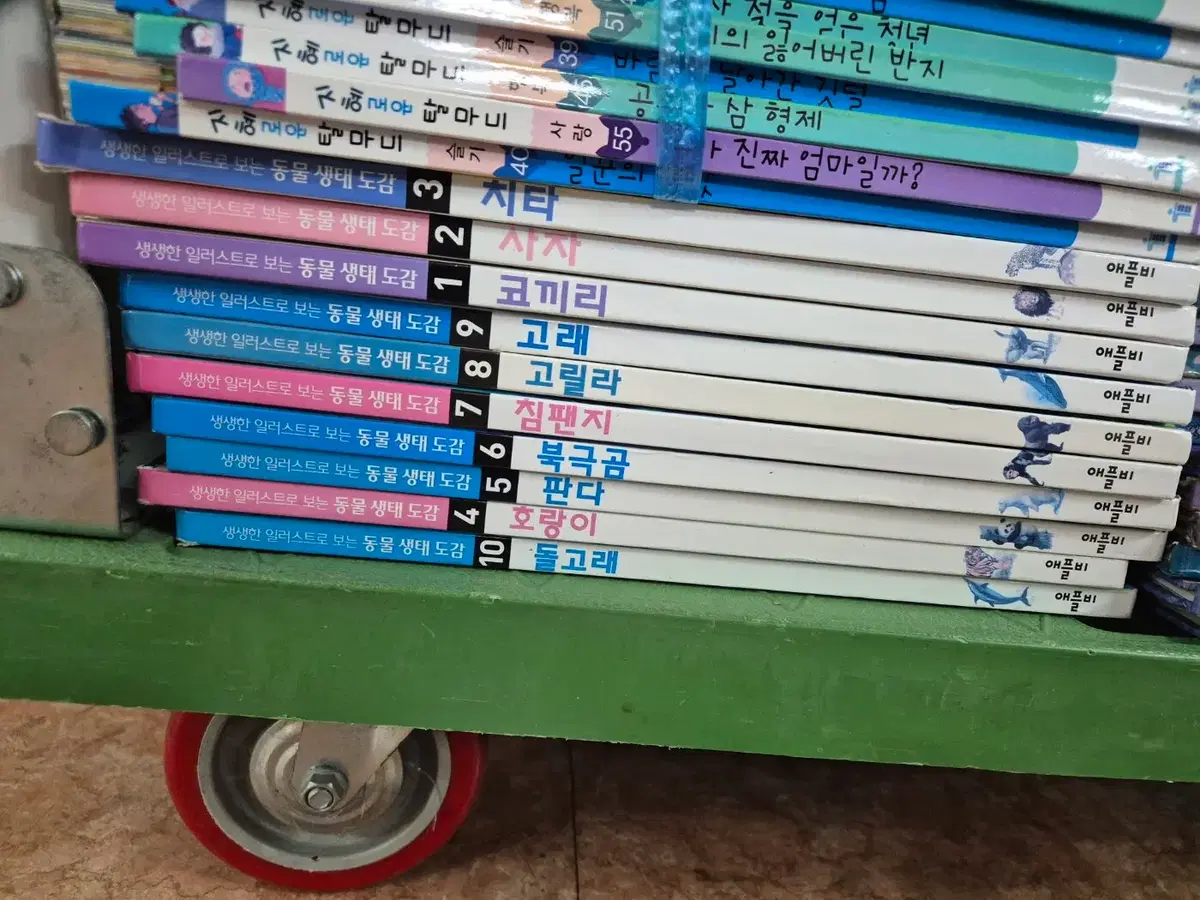 생생한 일러스트로 보는 동물 생태도감 애플비 10권 세트 어린이책 중고책