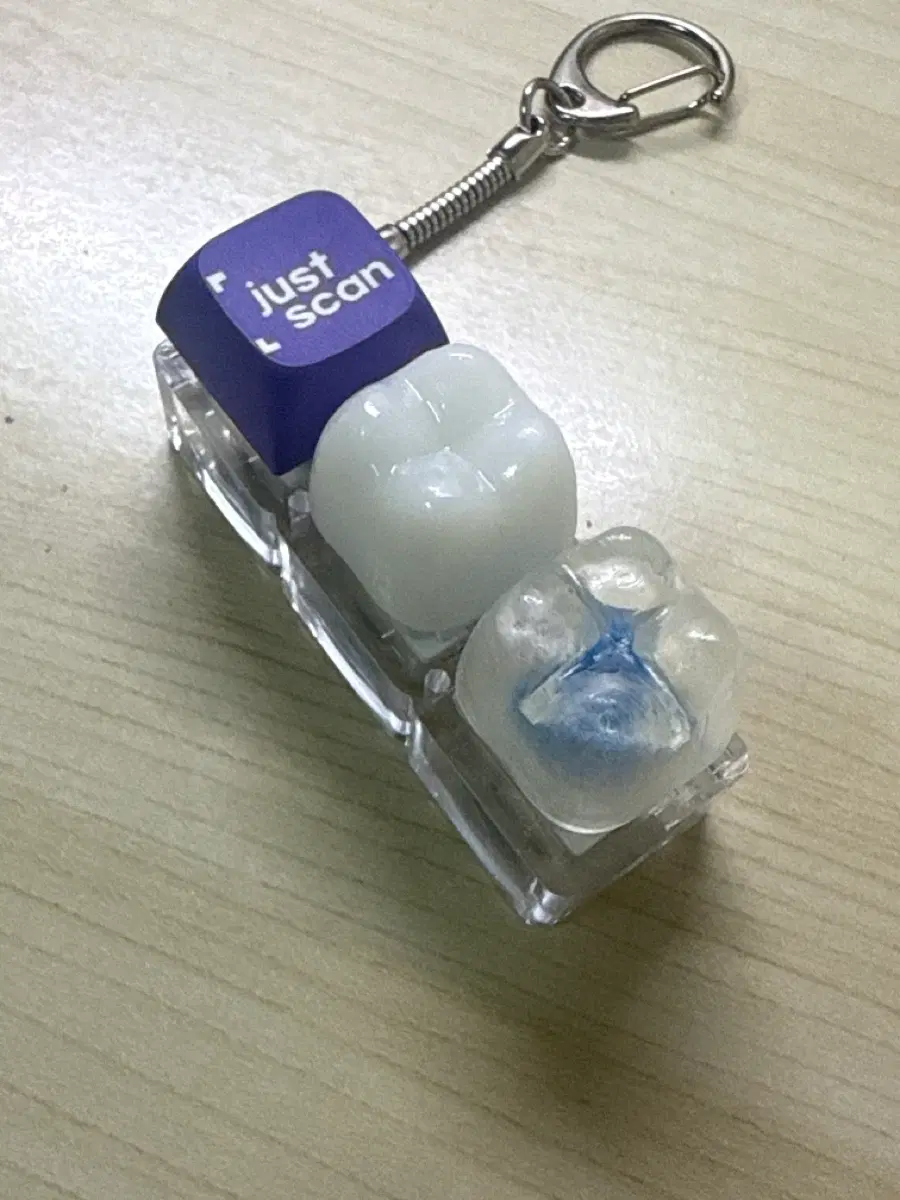 치아모양 클리커