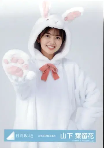 히나타자카46 2024년 신춘 아이템 야마시타 하루카 동물 인형옷 츄