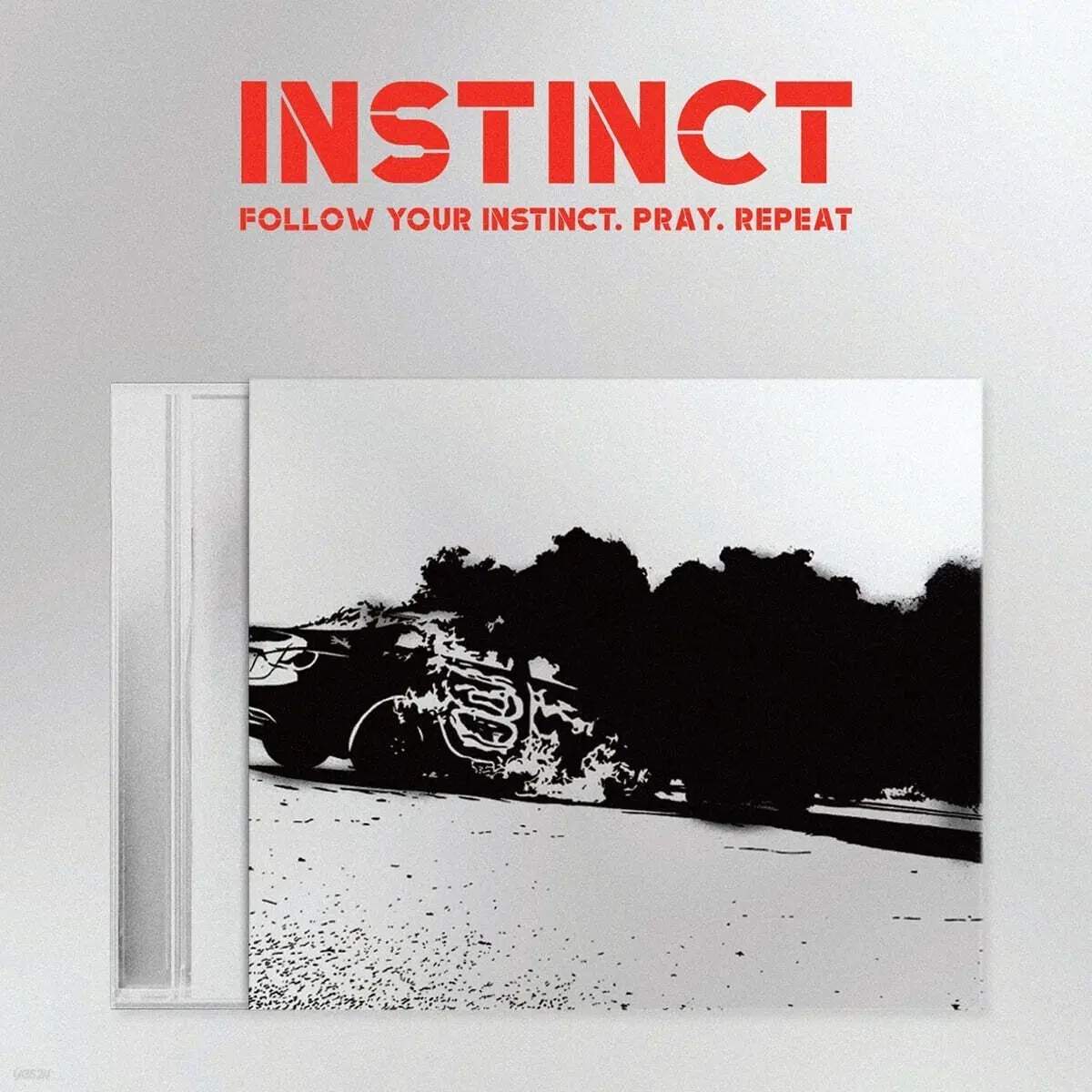 나플라 instinct 인스팅트 cd 한정반
