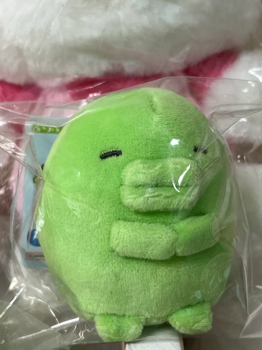 다마고치 구치파치 푸리누이
