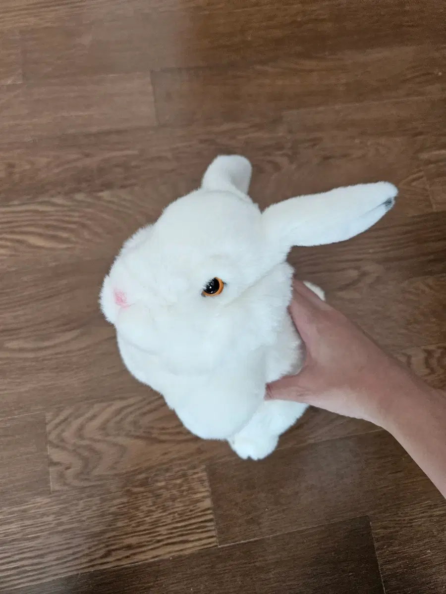 흰색 토끼 인형 판매합니다!