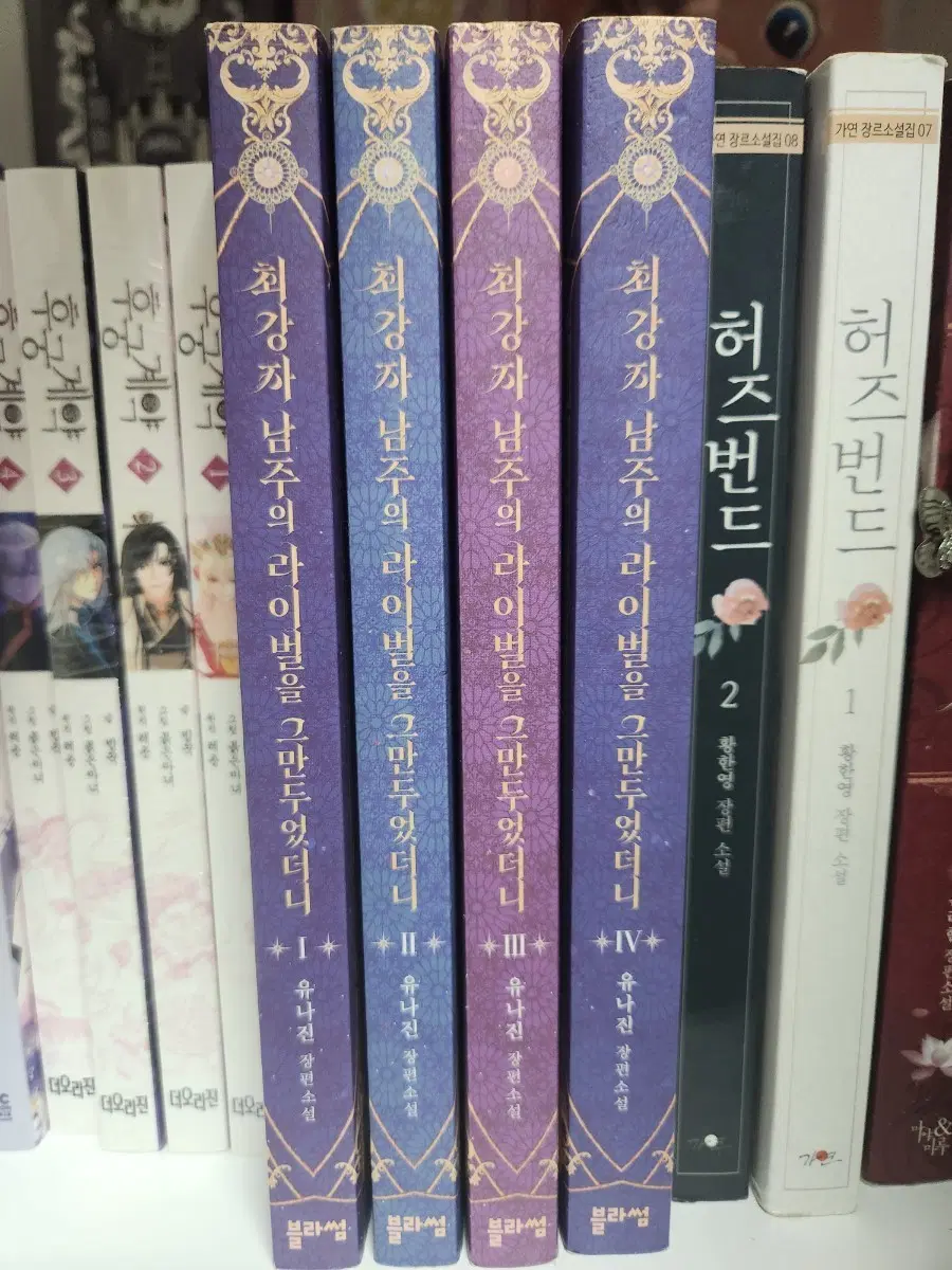 최강자 남주의 라이벌을 그만두었더니 소설책