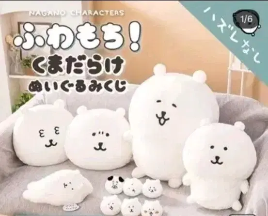 농담곰 쿠지 A상