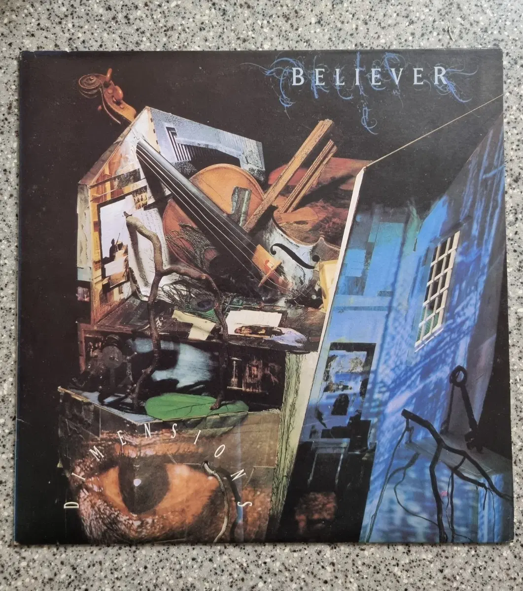 빌리버 Believer / Dimensions [LP]