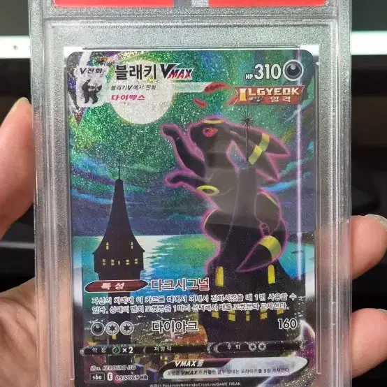 포켓몬카드 블래키 브맥 특일 PSA 10