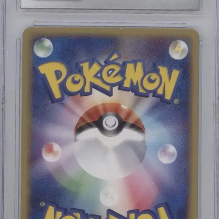 포켓몬 카드 PCG 블루스카이 1ST ED 가재장군 CGC 10 사진 2