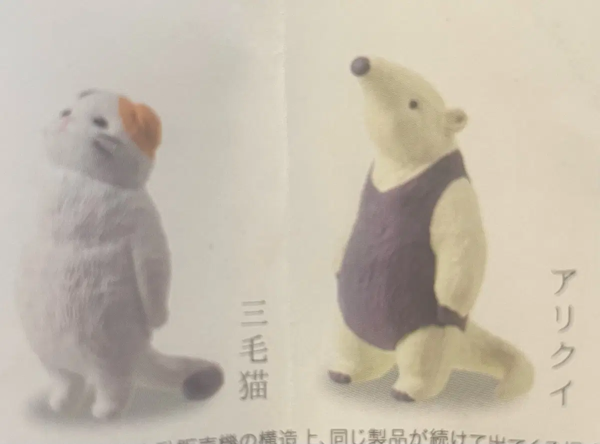 귀여운 동물 피규어 가챠 3종