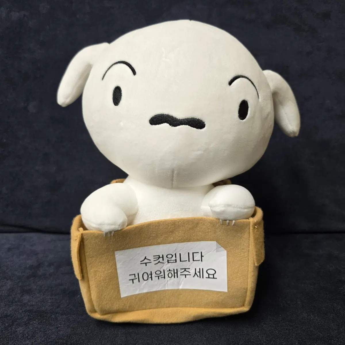 (신상) 첫만남 흰둥이 27cm 짱구는못말려 정품 중형 인형