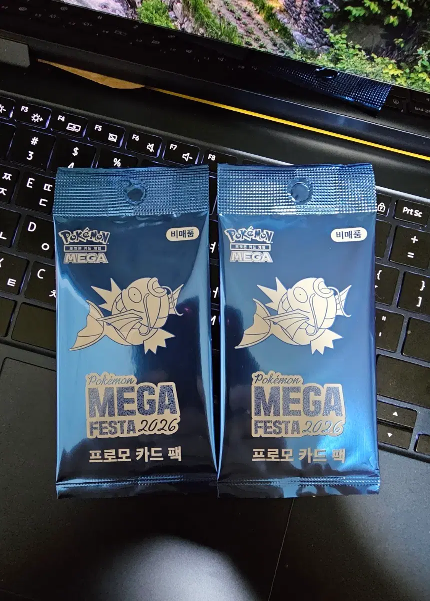 포켓몬 잉어킹 프로모 카드팩 장당 5만