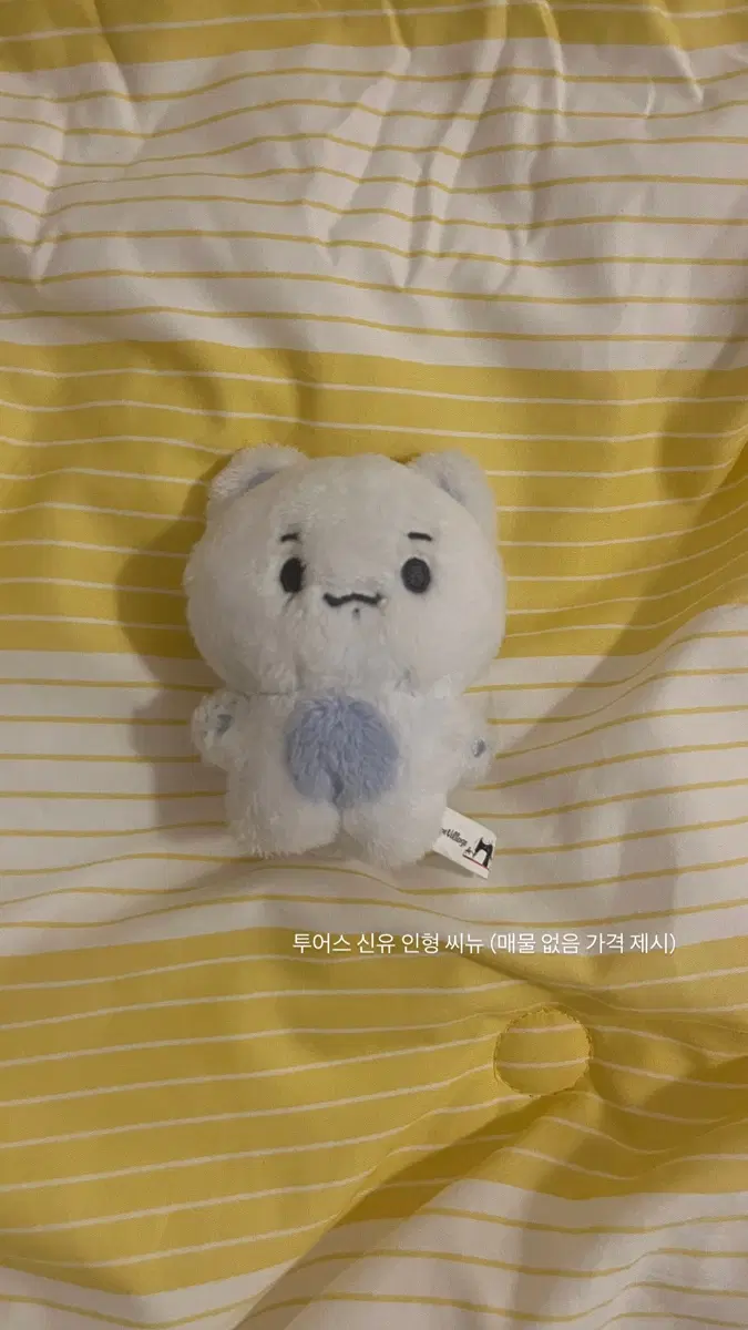 투어스 신유 인형 씨뉴