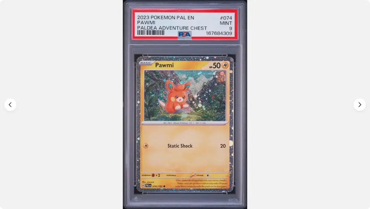 1 포켓몬 카드 빠모 HOLO psa 9 팔데아 이볼브드
