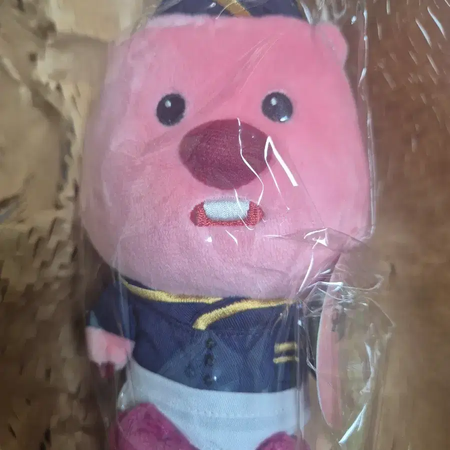 박지훈 취사병 잔망루피 한정판