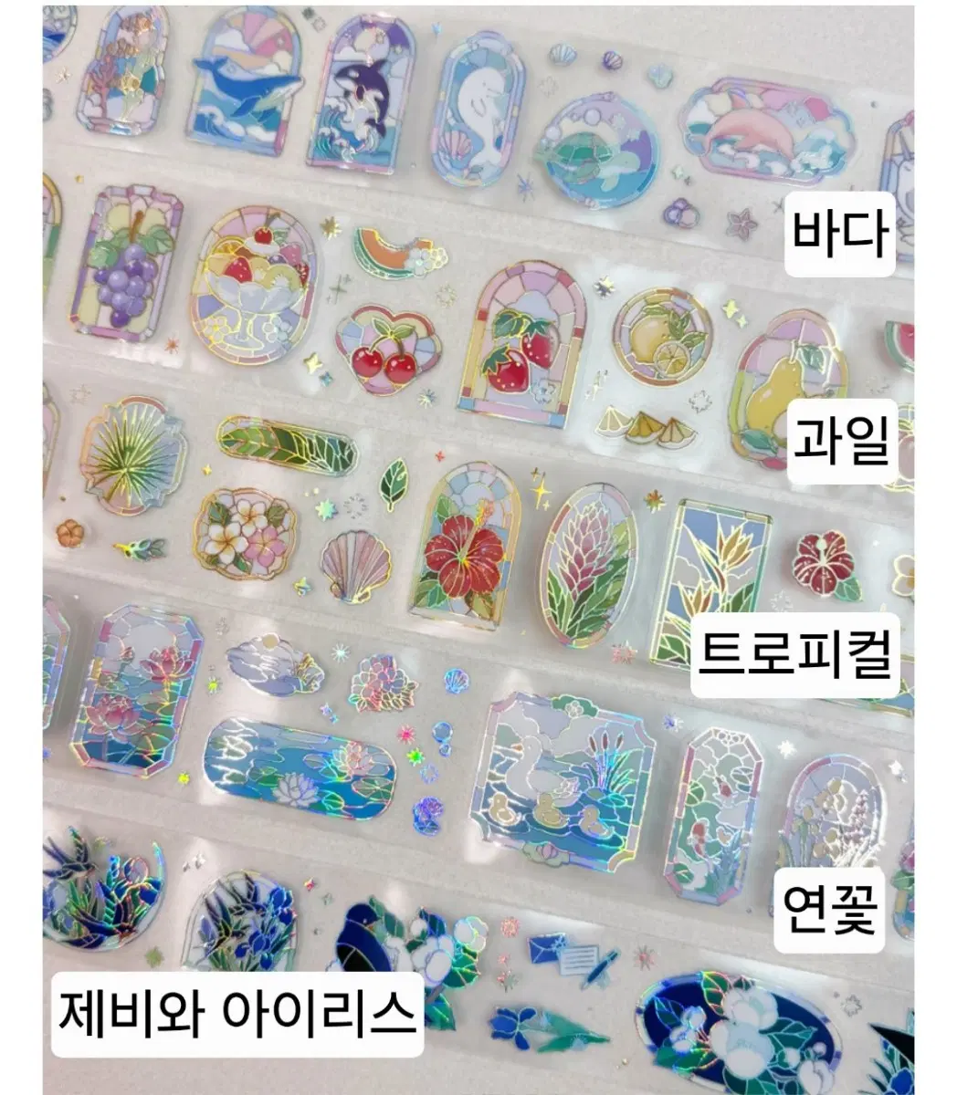 12종) 아델리드로우 스테인드글라스 펭귄 친구들 키스컷 테이프 소분 25cm 1패턴
