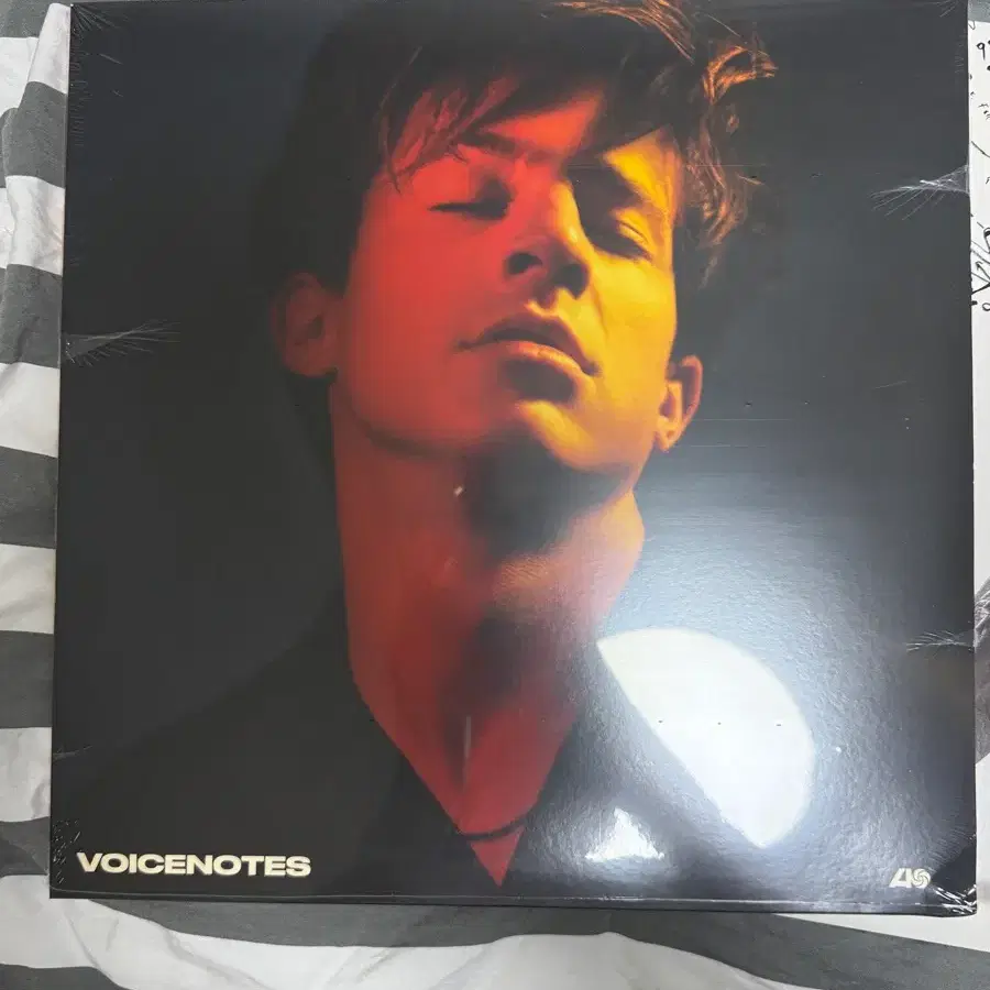 찰리푸스 보이스노트 voicenotes lp