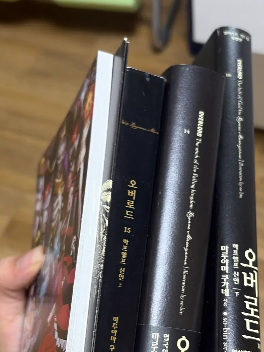 오버로드 14, 15, 16권