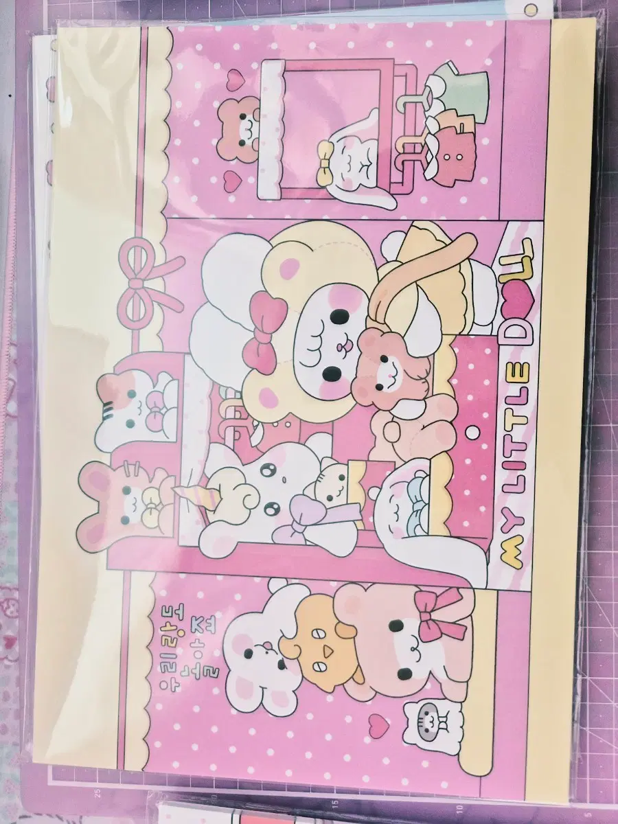 슈니 랩핑지