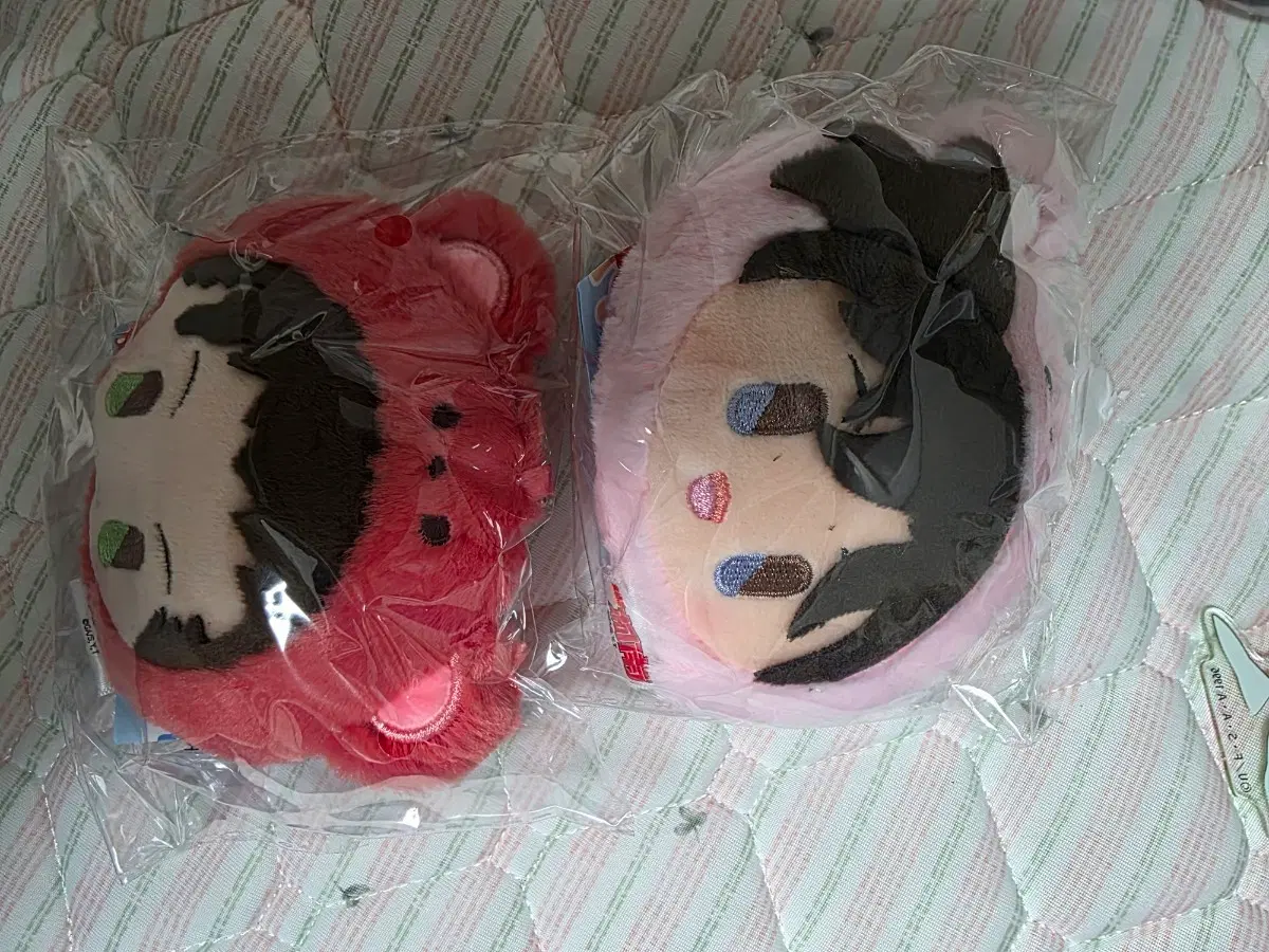 코난 베어탐정 곰 누이(아카이 슈이치, 모리 란)