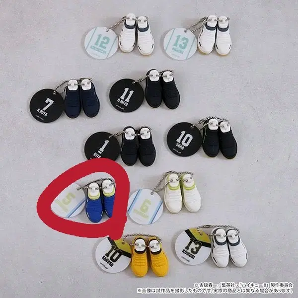 하이큐 신발 미니어처 키링 호시우미