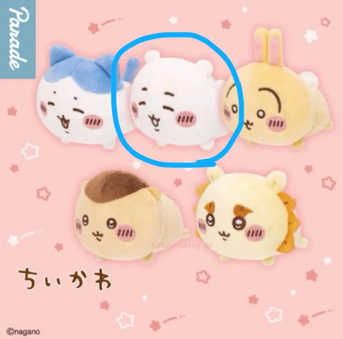 치이카와 누이 양도