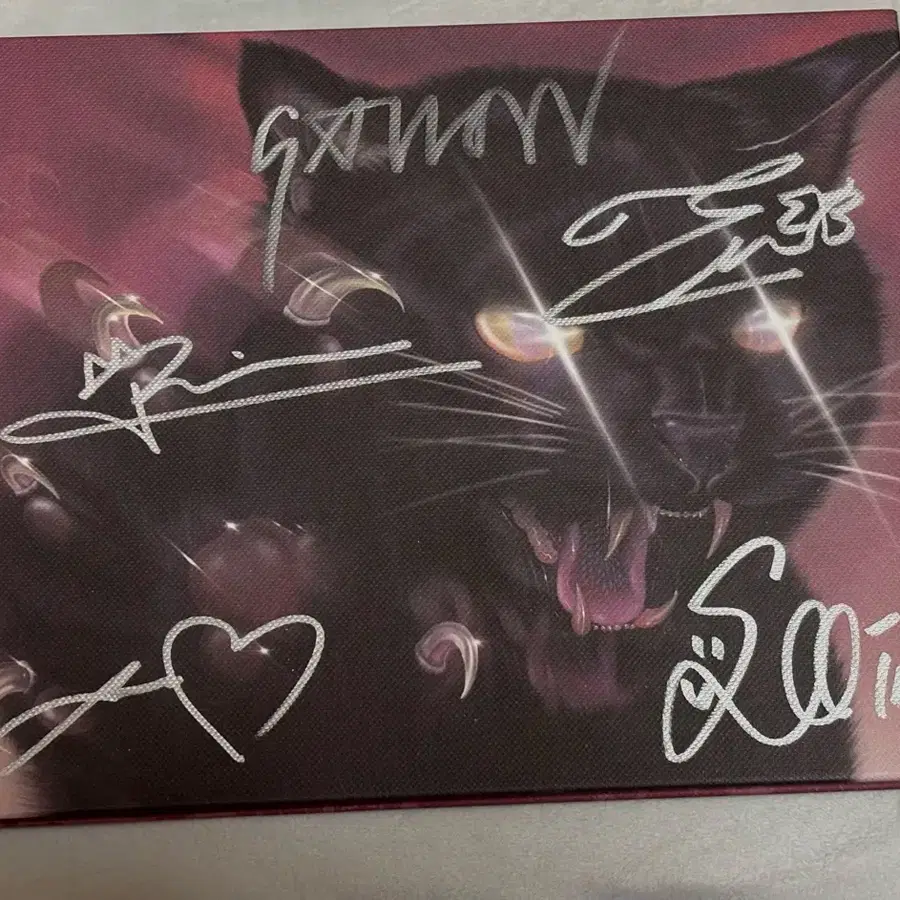 미야오 싸인앨범 MEOVV BITE NOW 친필싸인앨범 비매 MEOVV signed album