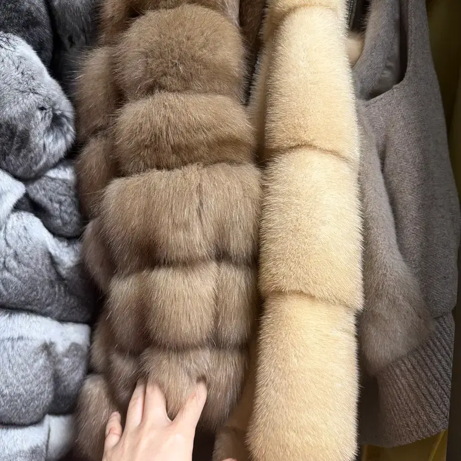 알테스 토르토라색상 세이블퍼