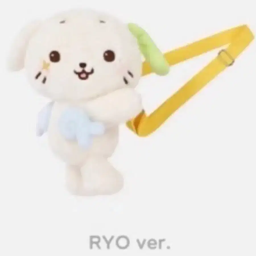 구함!!)NCT WISH 엔시티 위시 위시돌 료 룐룐 가방 RYO