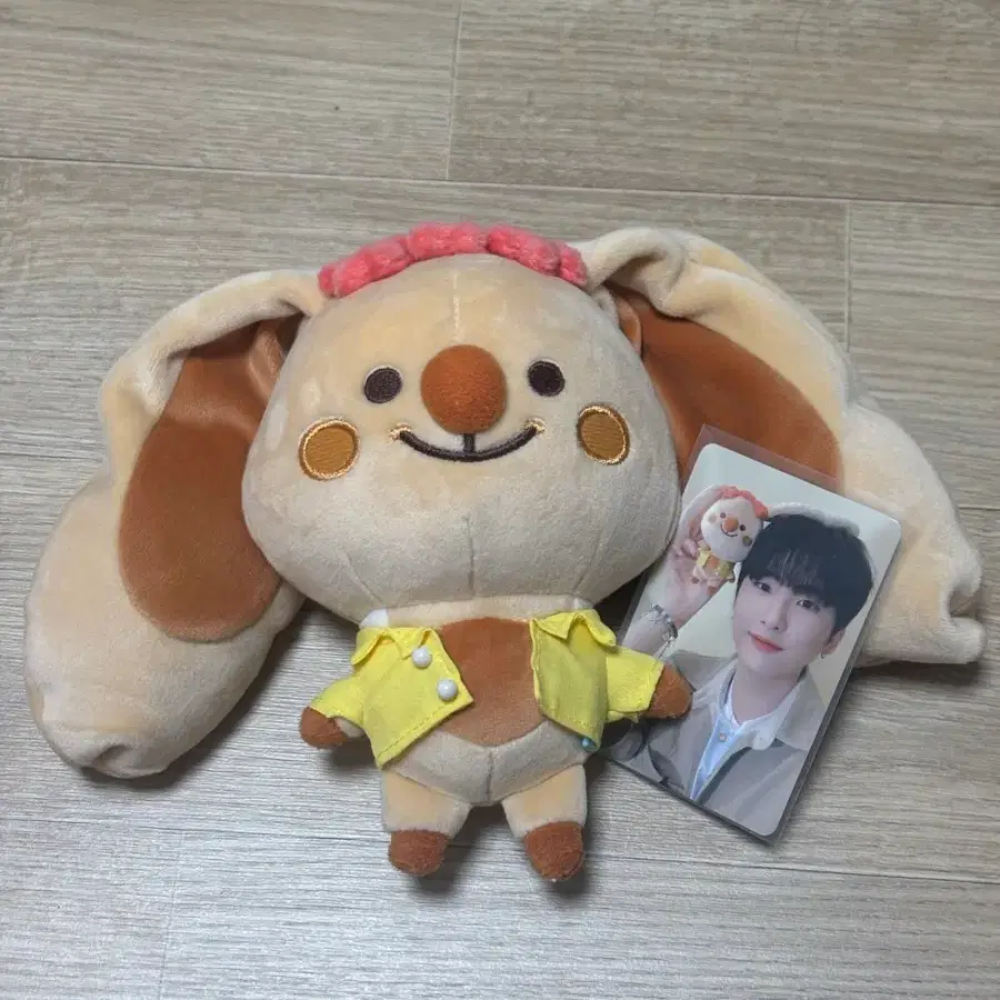 크래비티 크크루 썸머 우카