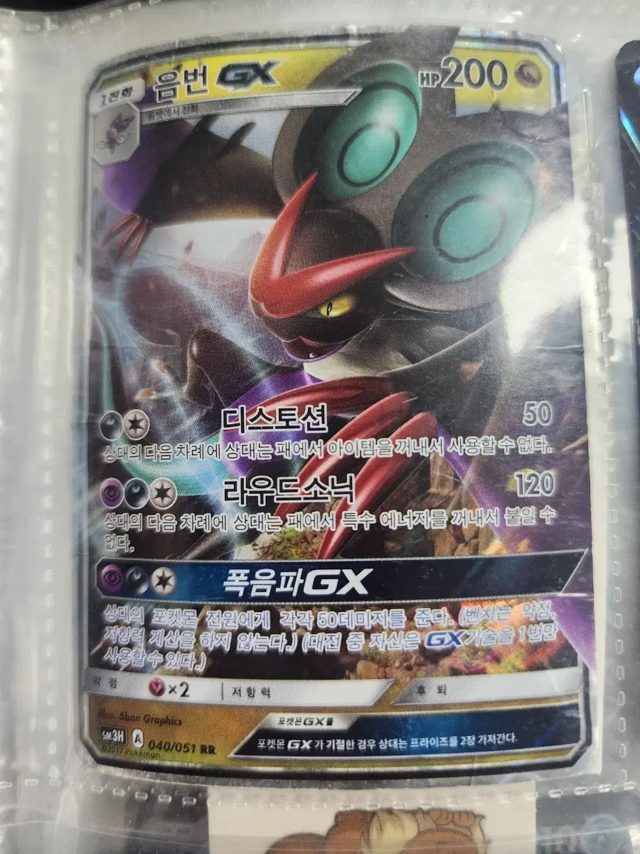 포켓몬카드 폭음파 GX RR 음번 gx